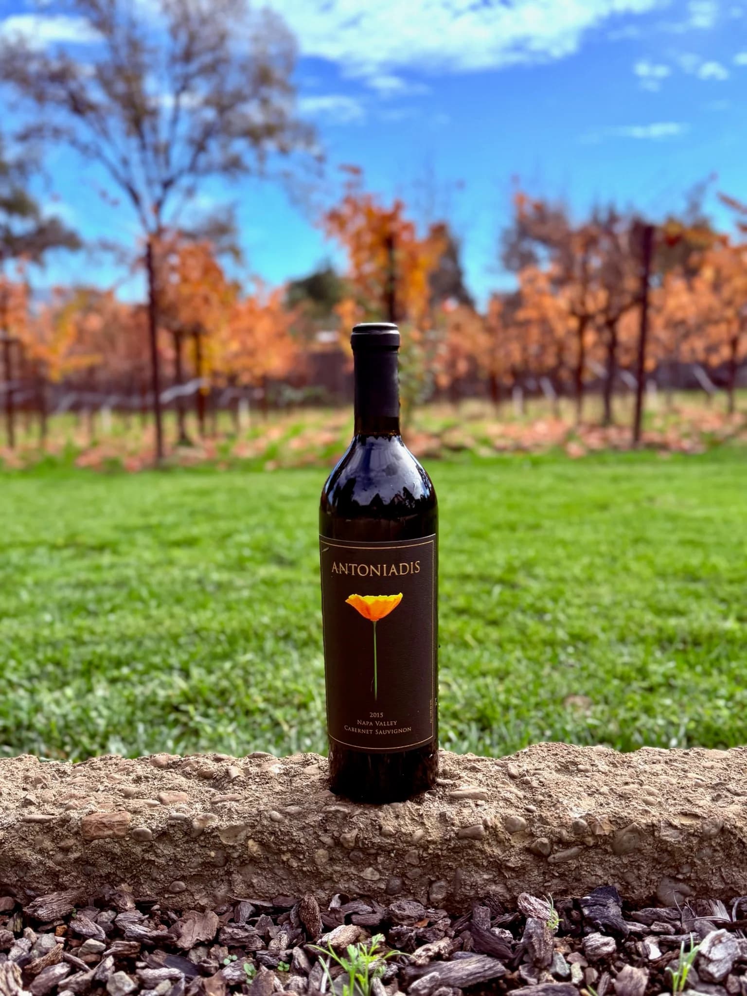 2018 Cabernet Sauvignon