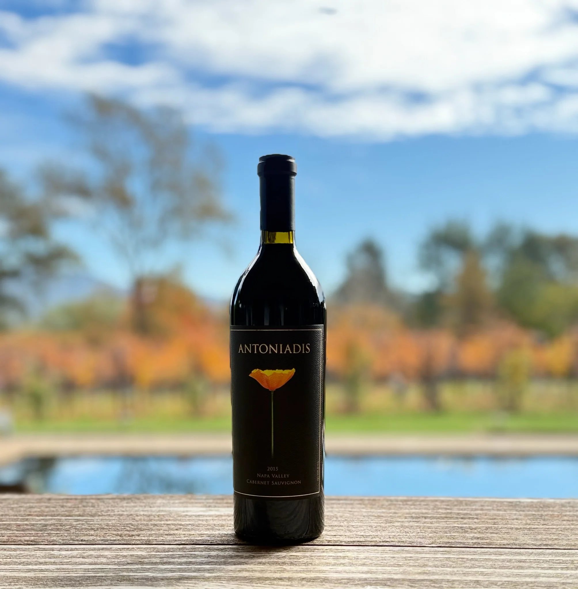 2019 Cabernet Sauvignon