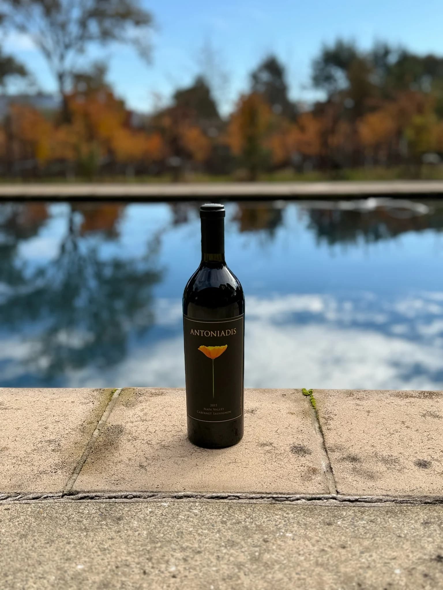 2022 Cabernet Sauvignon