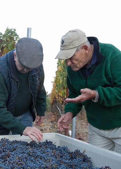Three generations of the Sciandri family at harvest