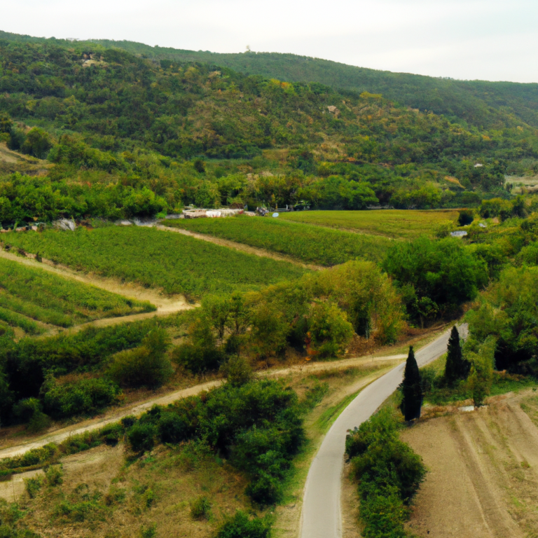 The Enduring Allure of Affordable Chianti