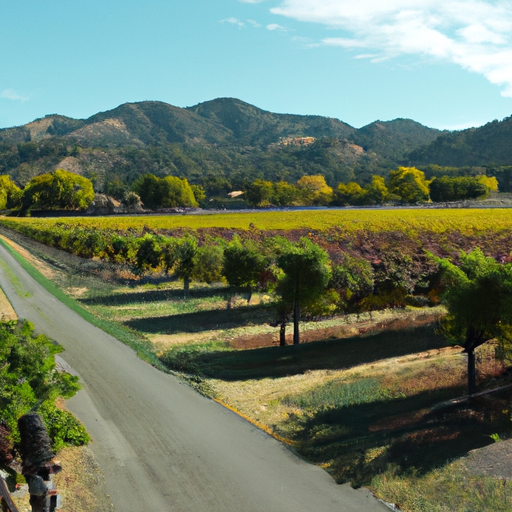 Reviewing the Highlights of Napa Valley in 2020