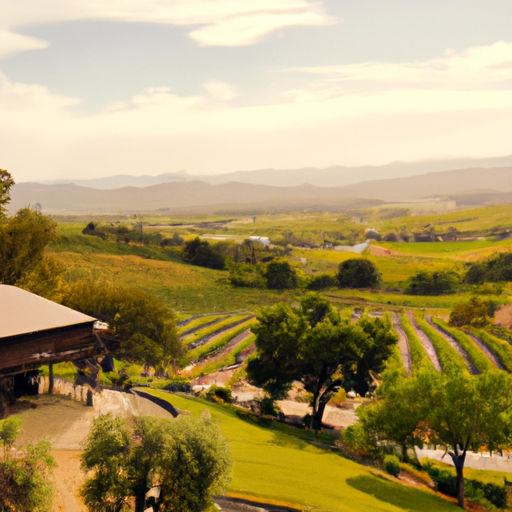 10 Essential Tips for a Flawless Wine Tasting Experience in Paso Robles