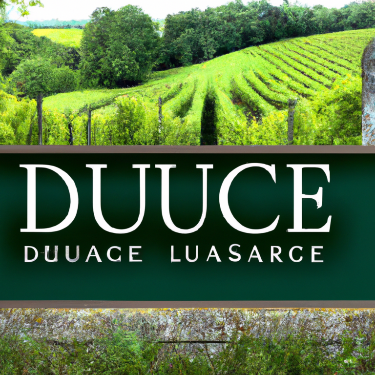 A Guide to Domaine Dujac for Wine Lovers with Busy Schedules