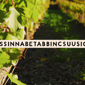 Sustainable Winery Certifications: A Comprehensive List
