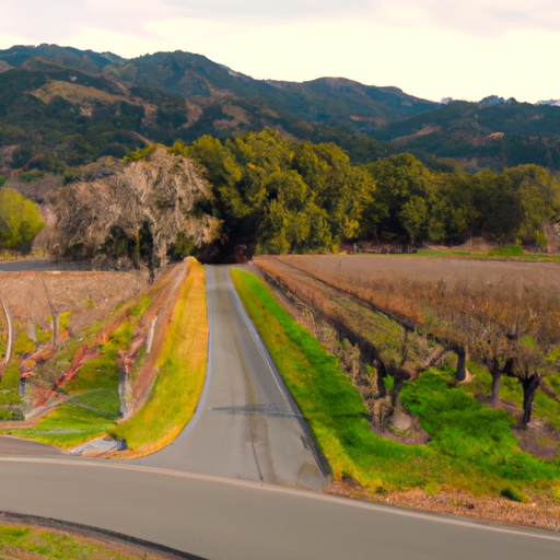 The Luxurious and Refined Napa Valley Experience