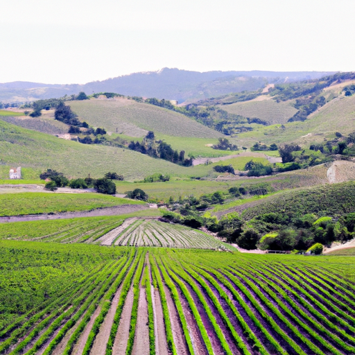 A Fresh Start for Napa: Embracing a New Chapter