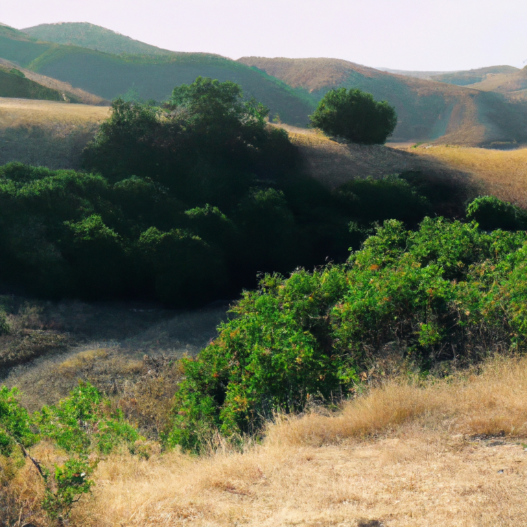 Exploring Zaca Mesa and Santa Ynez on August 16th