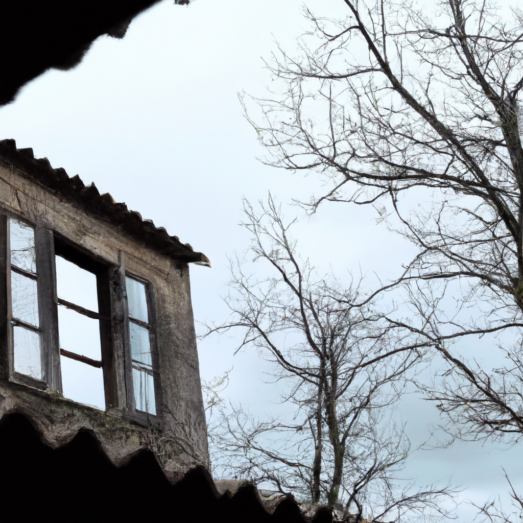 Exploring the Artistic Essence of Castello di Ama