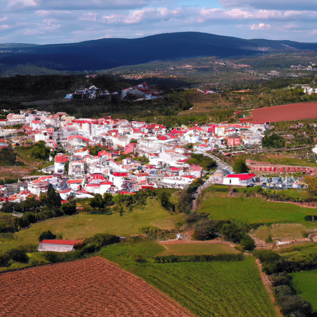 Portuguese Town Submerged in 2.2 Million Liters of Red Wine