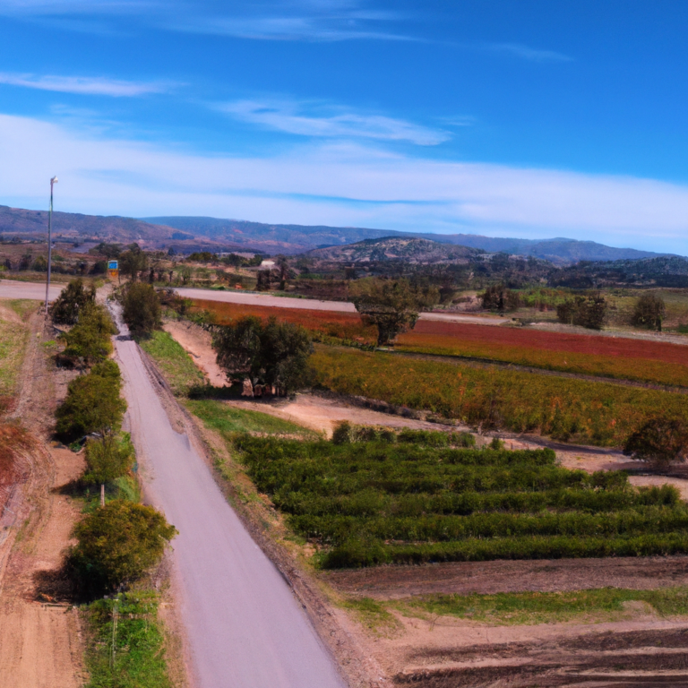 Unveiling the Abundance of Activities in the Santa Ynez Valley: Beyond Wine Tasting