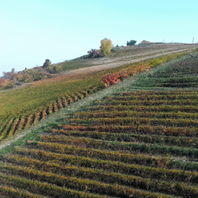 Exploring the Enchanting Charms of Langhe