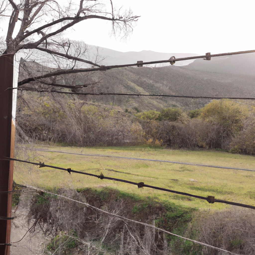 Why Winter is the Ideal Time to Explore the Santa Ynez Valley