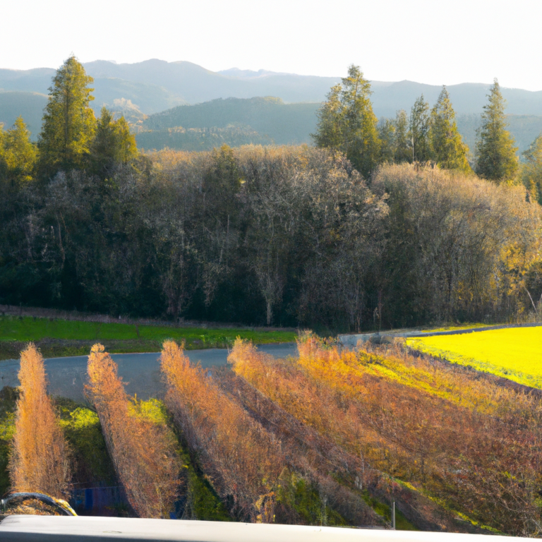 Exclusive Winery Offers for Napa County Residents in January