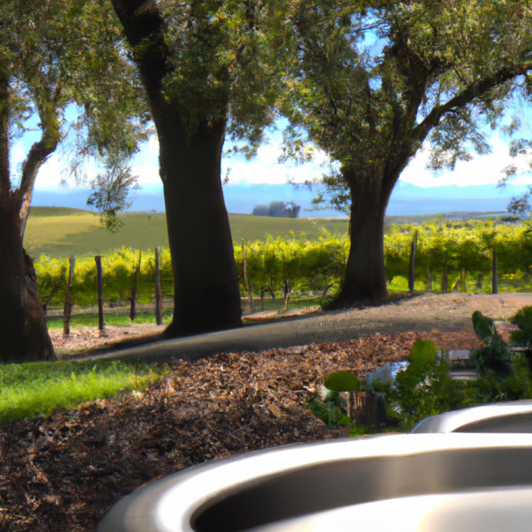 Exploring Amador Wine Country's Most Popular Event: "Behind the Cellar Door"