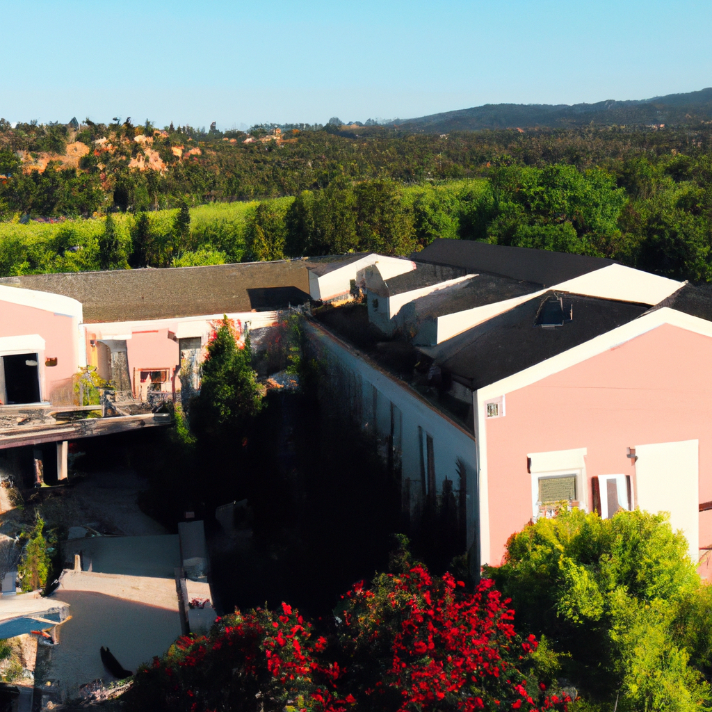 Top 12 Hotels to Experience in Napa Valley 2024