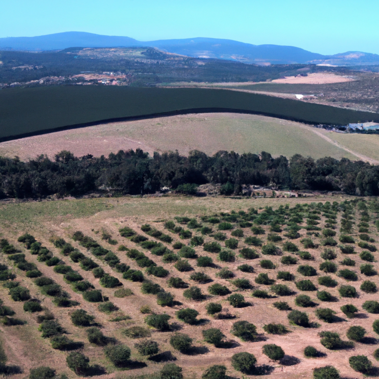 Exploring Évora and Herdade Fitapreta: Day 1 in Alentejo Chronicles