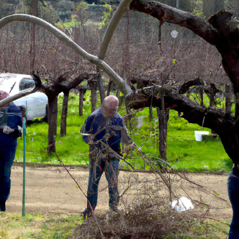 Highlighting Talent and Tenacity: The 22nd Annual Napa County Pruning Contest