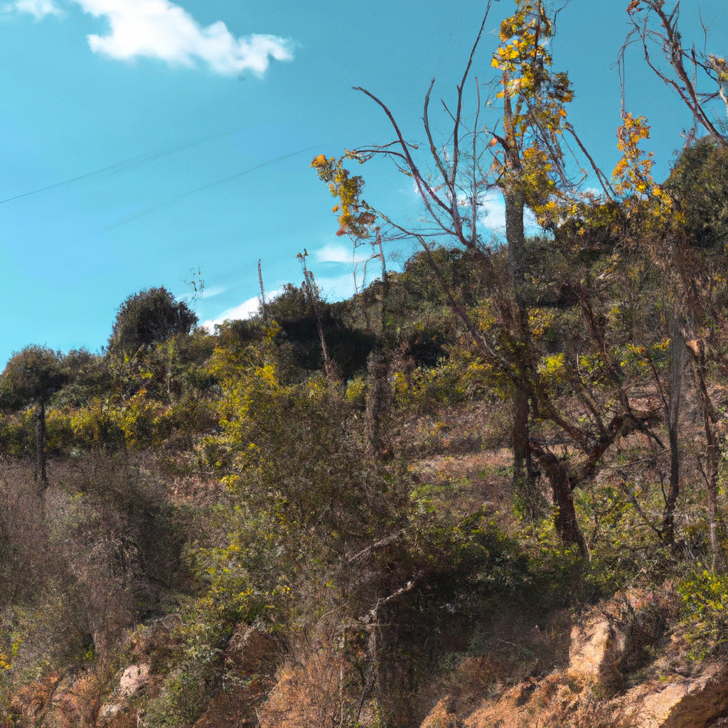 Exploring the DO Montsant Wine Region on TV
