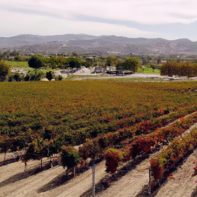 Top 15 Must-Visit Wineries in Temecula