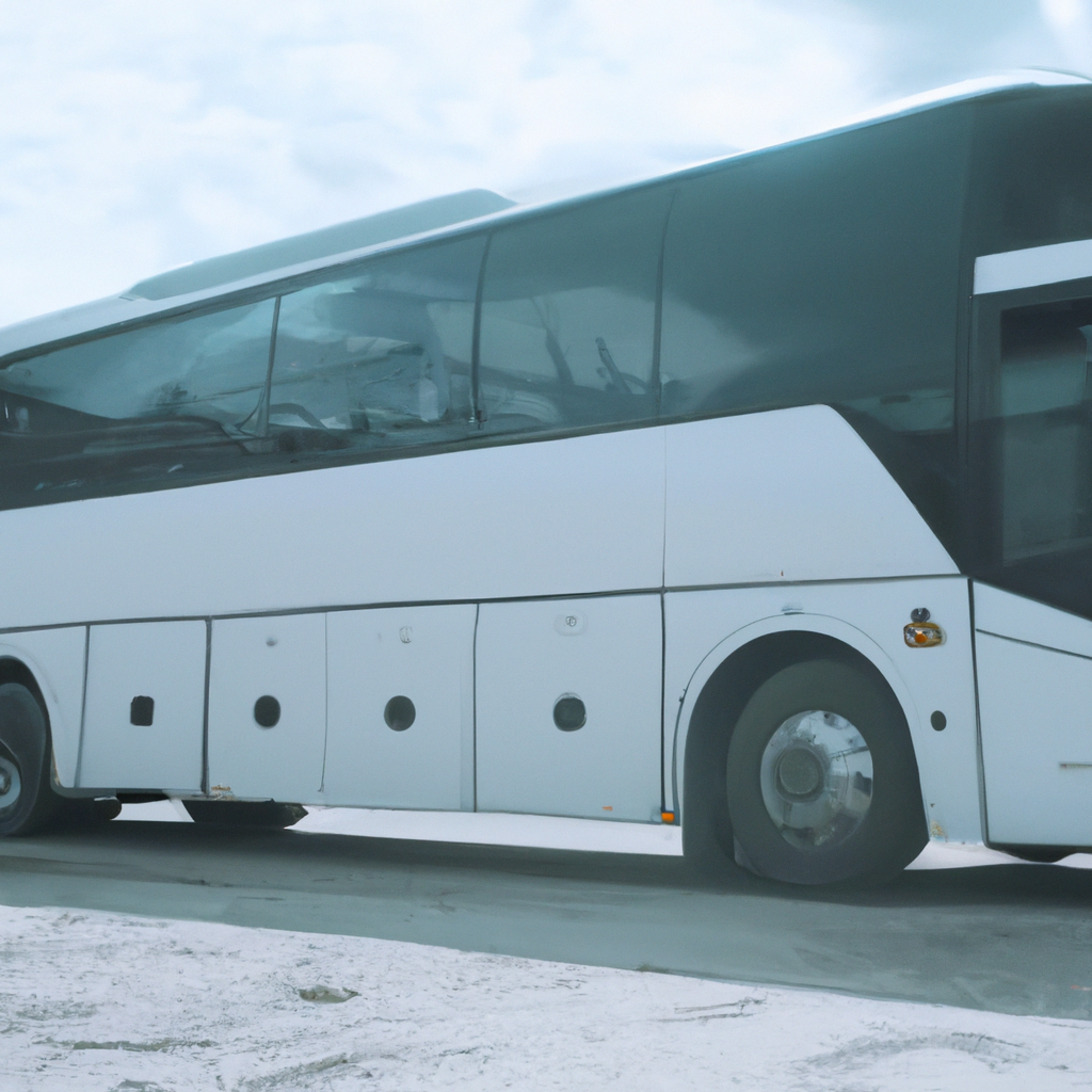 Luxury Bus with a 31-Passenger Capacity